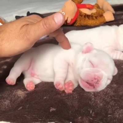 Jelly bean toes