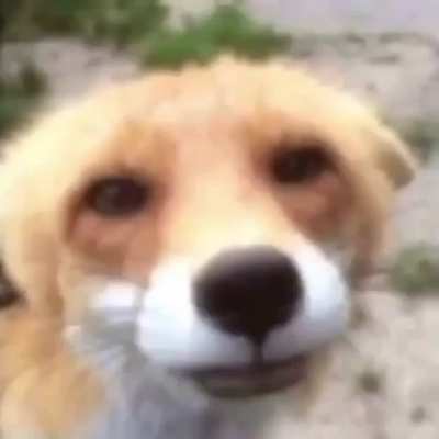 eating_irl