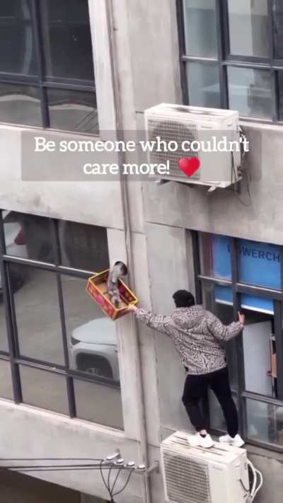 Man Takes Risks To Save A Cat