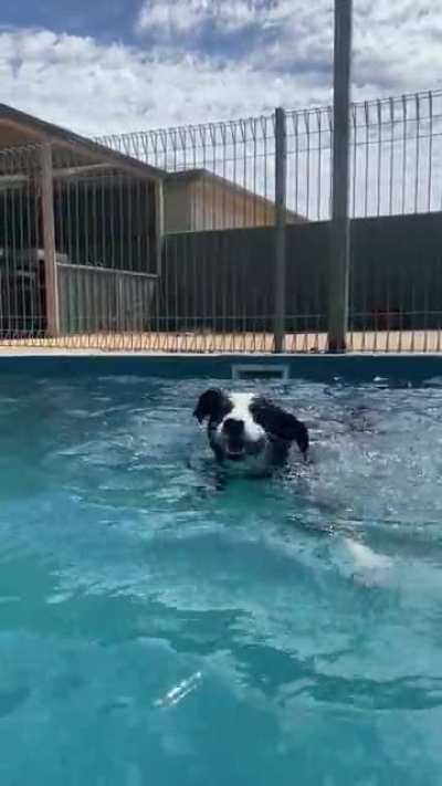 Scout: 1, Water: 0
