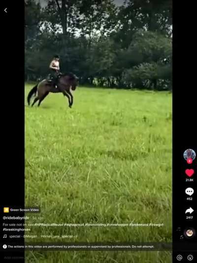 Majestic horse