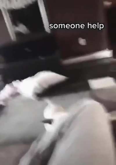 what dog doin