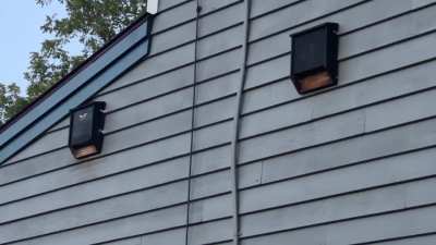 Busy bat houses