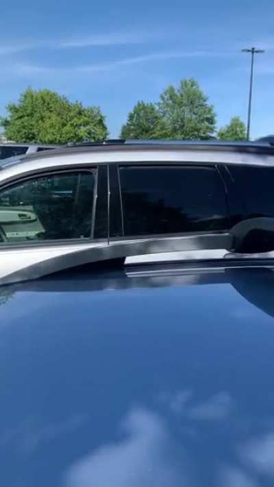 Don’t leave your dog in the car when it’s 100 degrees outside