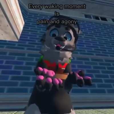 furry_irl