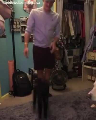 When your Cat doesn't like the new carpet