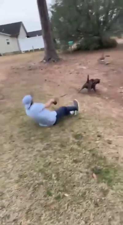 You dirty dog!