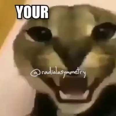 Rule