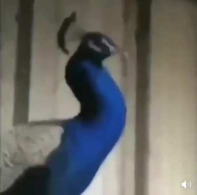 AWAAAAAA