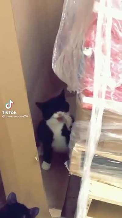 saúde x18