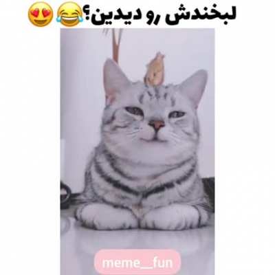 😍😍
