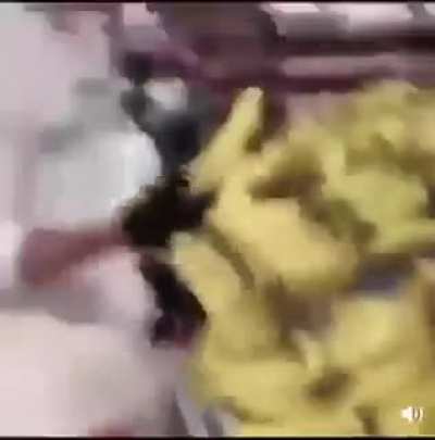 Vape nic Suck dic