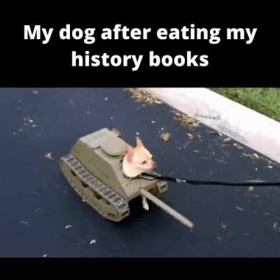 planet of the dogs