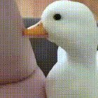 Happy duck
