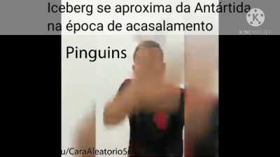 Título está com frio