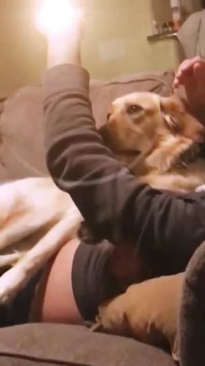 I found this and I can't stop watching it