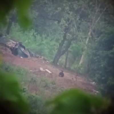 (Myan<wbr>mar/B<wbr>urma) A guerrilla sniper downs a junta soldier (exact date unknown)