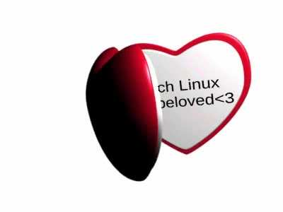 This is what I imagine arch elitists are like when it comes to arch linux