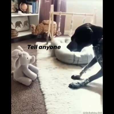 the elephant in the room