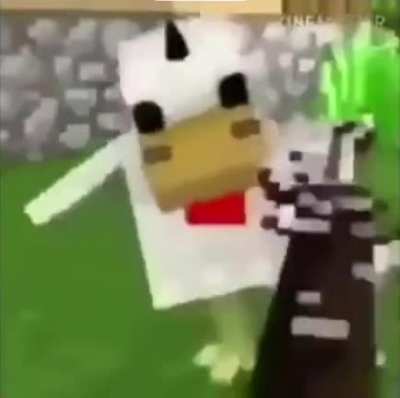 Cock
