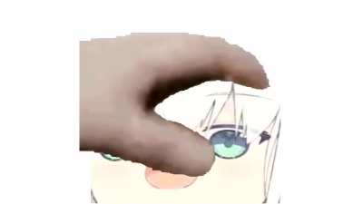 pet the fox