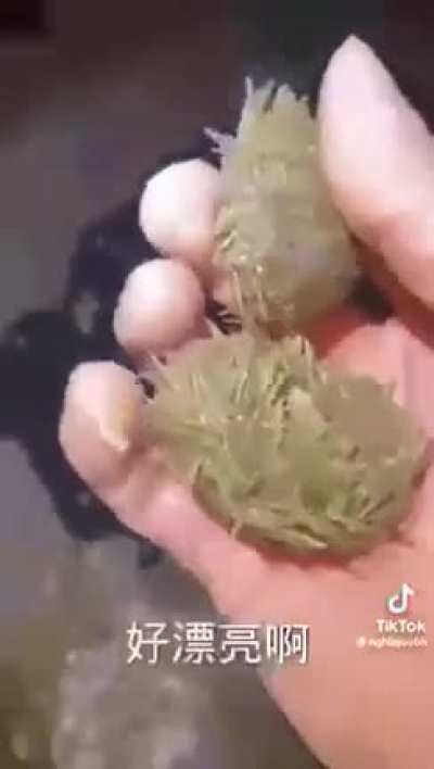 Shit's fire ong fr