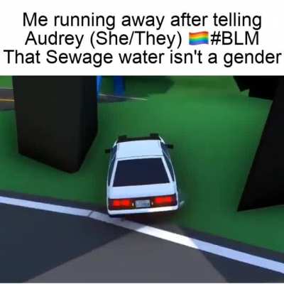 Car go vroom skkrrrt