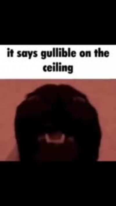 dont do it