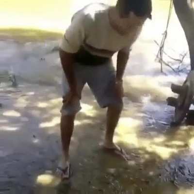Yeah, i'm just gonna touch this electric eel with my bare hands.