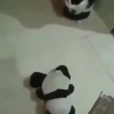 Kkk