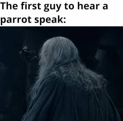 What did you say?