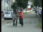 HMFT after I touch this horse its but