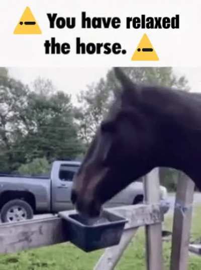 59572