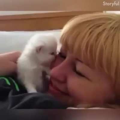 ماچ ماچک حیوانات