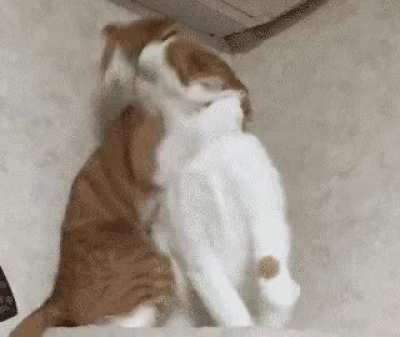 Headlock