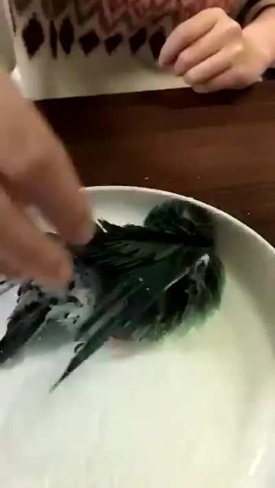 Bath time 🐦⛲