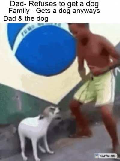 Come, ma boi