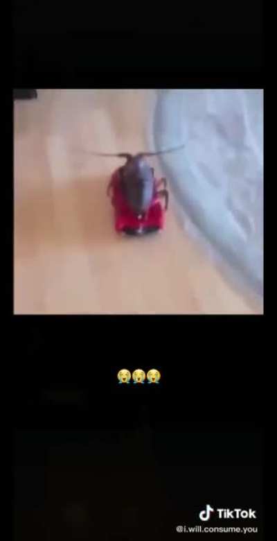 R.I.P My Friend
