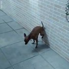 Gravity defying