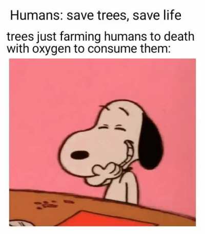 You all fell for it