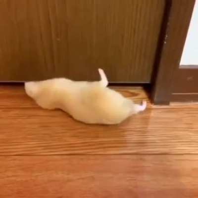 My hamster people need me