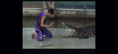 WCGW putting my arm between the strongest jaws on the planet?