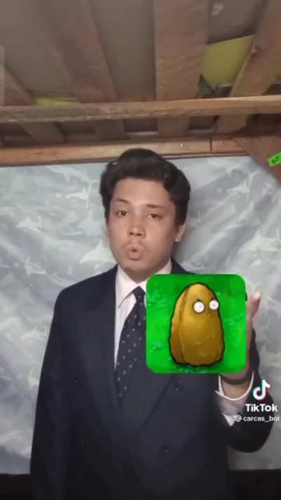 PvZ in a Nutshell