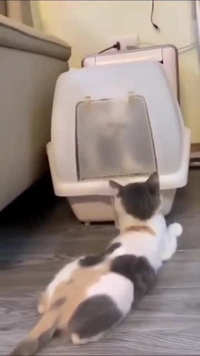 Let me go