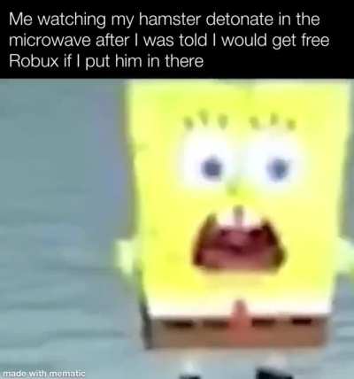 Hamster in Microwave
