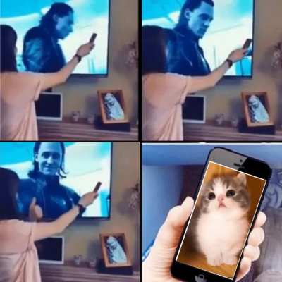 I love those cute cat videos.