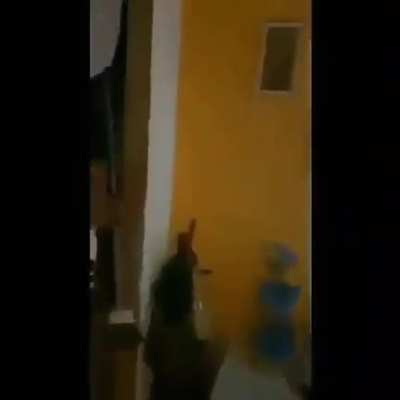 Coitado do Wesley