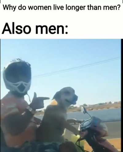 Man's best driver
