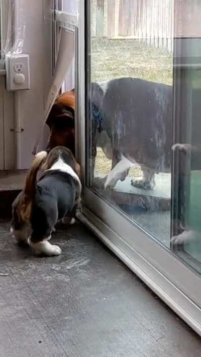 Help! Can't get out