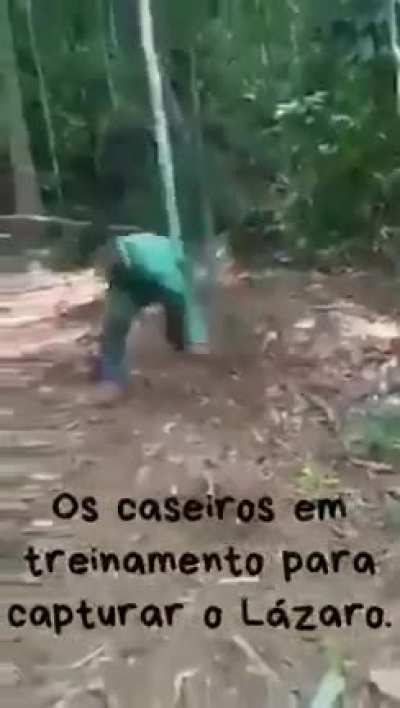 Não vem não...